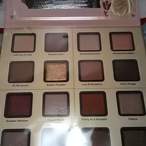 Too Faced pumpkin spice palette & complete set